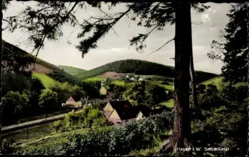 Ak Hagen in Westfalen, Selbecketal