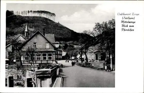 Ak Zorge Walkenried im Harz, Blick zum Pferdchen, Ortspartie