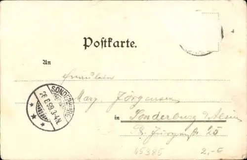 Litho Rüdesheim am Rhein, Schloss Rheinstein, National Denkmal, Mäuseturm, Ruine Ehrenfels