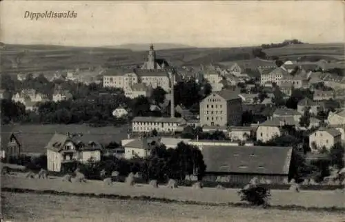 Ak Dippoldiswalde im Erzgebirge, Gesamtansicht