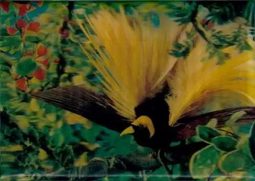 3-D Ak A Bird of Paradise, gelber Paradiesvogel auf einem Ast, Blüten, Blätter, ausgebreitete Flügel