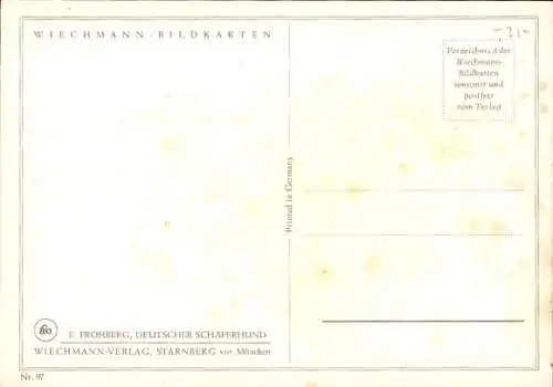 Künstler Ak Frohberg, E., Deutscher Schäferhund, Kopfstudie, Rassehund