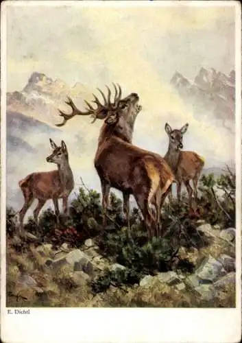 Künstler Ak Dichtl, E., Hirsch, Rehe, Landschaftsidylle