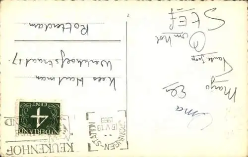 Ak Dalmatiner Hund, Portrait