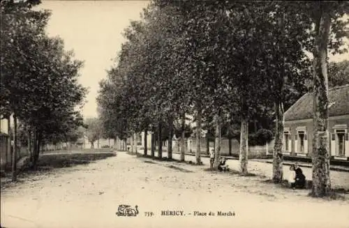 Ak Héricy Seine et Marne, Marktplatz, Allee