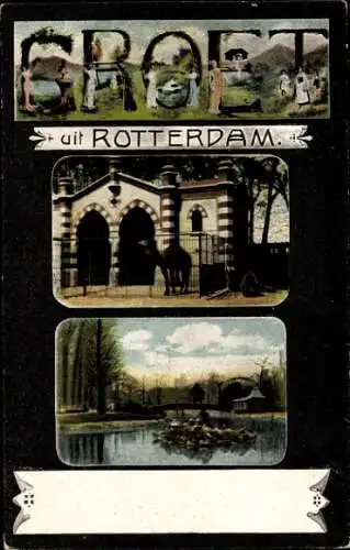 Buchstaben Passepartout Ak Rotterdam Südholland Niederlande, Kamel am Eingang, See