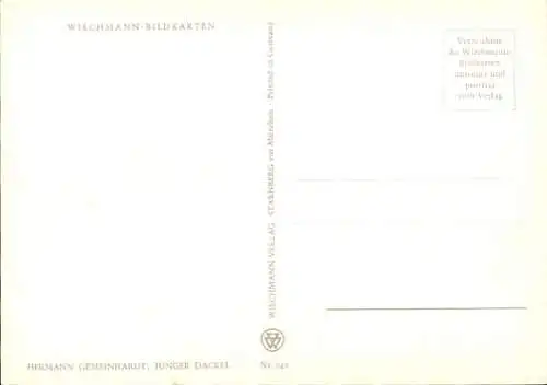 Künstler Ak Gemeinhardt H., Junger Dackel