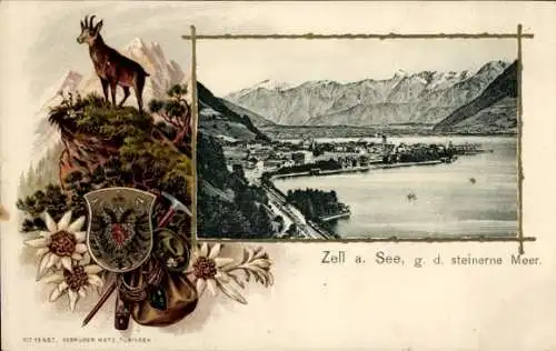 Präge Wappen Passepartout Ak Zell am See in Salzburg, Gesamtansicht, steinernes Meer