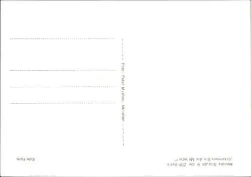 Ak Schauspielerin Monika Strauch, Portrait, Autogramm