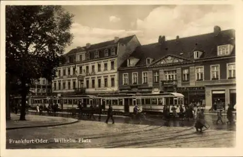 Ak Frankfurt an der Oder, Wilhelm-Platz, Straßenbahn