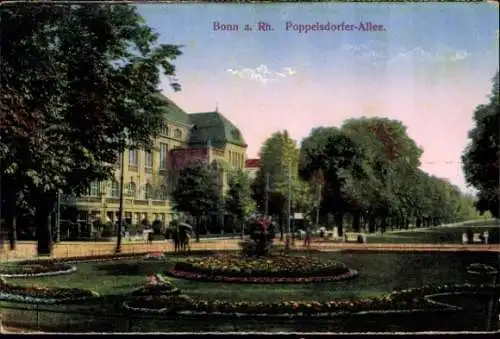 Ak Bonn am Rhein, Poppelsdorfer Allee