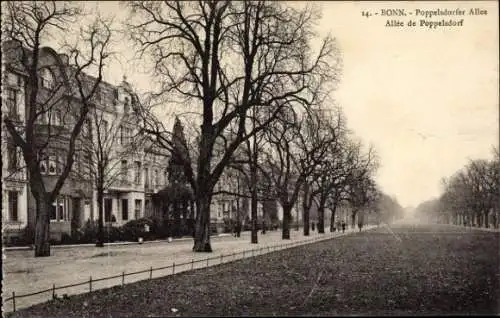 Ak Bonn in Nordrhein Westfalen, Blick in die Poppelsdorfer Allee