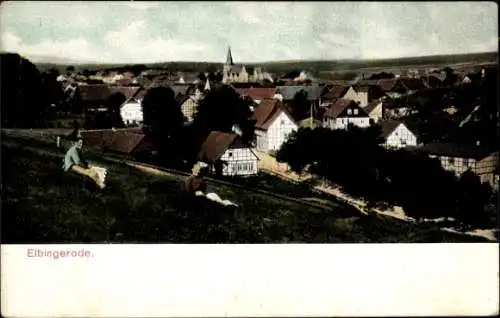 Ak Elbingerode Oberharz am Brocken, Panorama