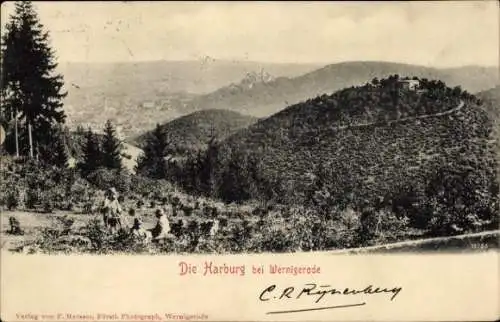 Ak Wernigerode am Harz, Blick auf die Harburg