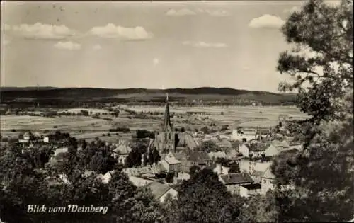 Ak Bad Freienwalde an der Oder, Blick vom Weinberg über die Stadt, Panorama, Umland