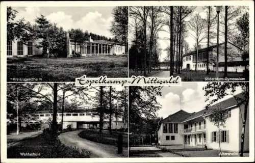 Ak Mittwald Espelkamp in Ostwestfalen Lippe, Waldschule, Altersheim, Gymnasium, Kreisjugendheim