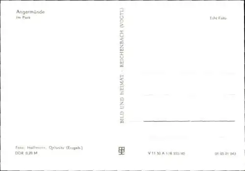 Ak Angermünde in der Uckermark, Im Park