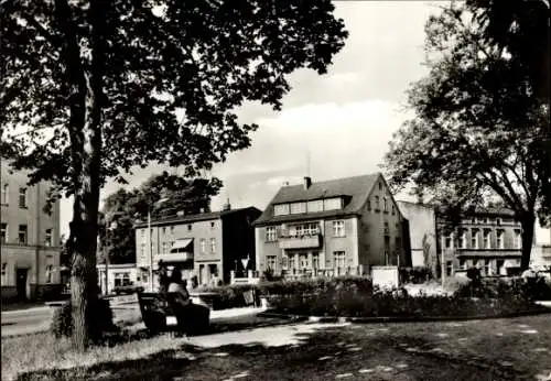 Ak Angermünde in der Uckermark, Im Park