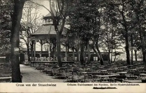 Ak Berlin Pankow-Niederschönhausen, Strauchwiese, Pavillon