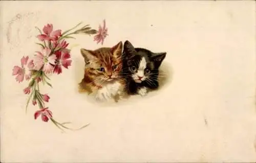 Litho Zwei junge Katzen, Nelken