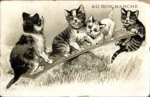 Litho Katzen beim Wippen, Hauskatzen