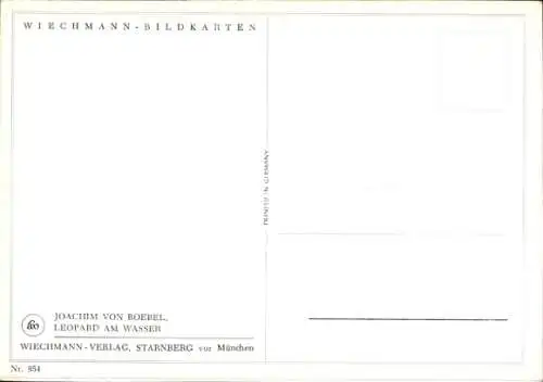 Künstler Ak von Roebel, Joachim, Leopard am Wasser