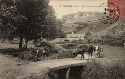 Ak Saint Brieuc Côtes d'Armor, Pont rustique sur le Gouedic, Kühe