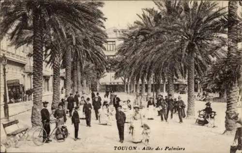 Ak Toulon Var, Allee des Palmiers