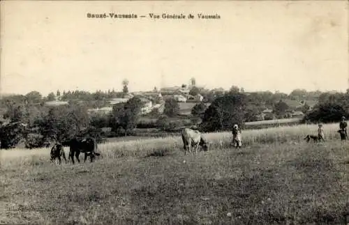 Ak Sauzé Vaussais Deux Sèvres, Gesamtansicht