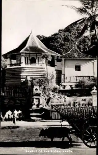 Ak Kandy Sri Lanka Ceylon, Zahntempel