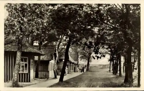 Ak Prerow bei Zingst, Holzhütten an den Dünen, 1952