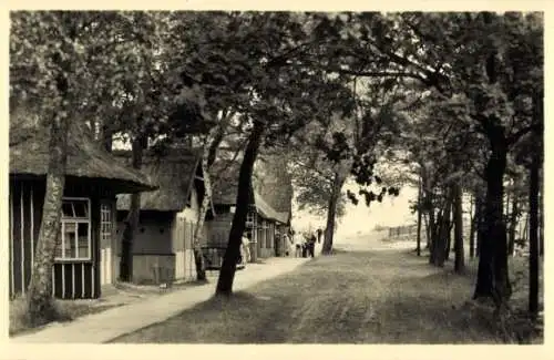 Ak Prerow bei Zingst, Holzhütten an den Dünen, 1952