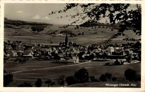 Ak Münsingen in Württemberg, Panorama