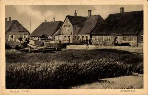 Ak Hallig Hooge in Nordfriesland, Königspesel, Hausansichten