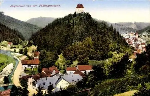 Ak Ziegenrück am Schiefergebirge Thüringen, Stadtpanorama von der Pohlmannsbank, Turm