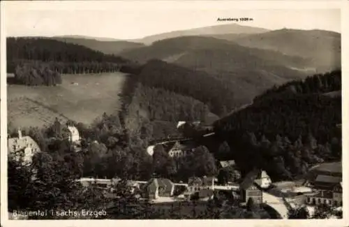 Ak Blauental Eibenstock, Blick auf den Ort, Erzgebirge, Berge, Wald