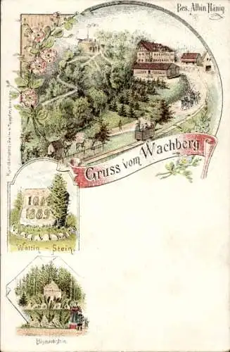 Litho Dresden Wachwitz, Wachberg, Wettin Stein, Bismarckstein