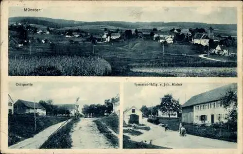 Ak Münster in Schwaben, Panorama, Ortsansicht, Geschäft von Johann Kleber