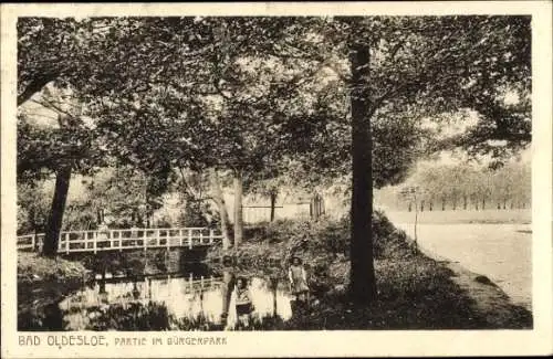 Ak Bad Oldesloe im Kreis Stormarn, Partie im Bürgerpark