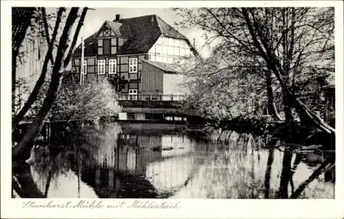 Ak Steinhorst in Niedersachsen, Mühle, Mühlenteich