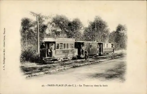 CPA Le Touquet Paris Plage Pas de Calais, Tramway dans la foret