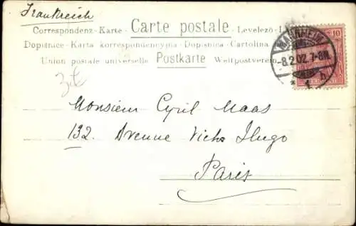 Litho Drei junge Hunde, Welpen