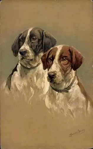 Künstler Ak Zwei Jagdhunde, Hundeportrait