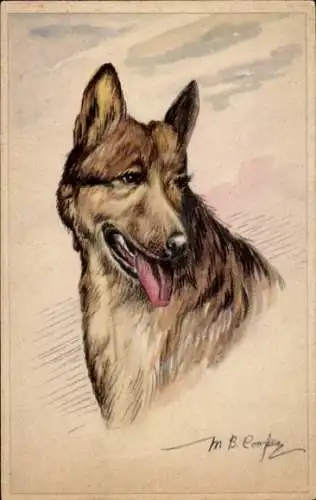 Künstler Ak Cooper, M. B., Hundeportrait, Schäferhund