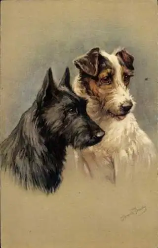 Künstler Ak Hundeportrait, zwei Terrier