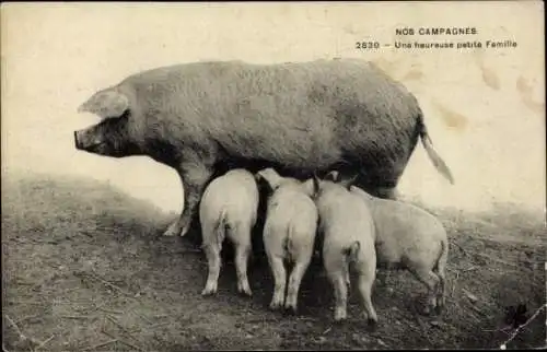 Ak Unsere Kampagnen, eine glückliche kleine Familie