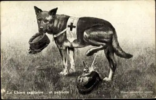 Künstler Ak Le Chien sanitaire, et patriote, Sanitätshund pinkelt auf Pickelhaube, I. WK