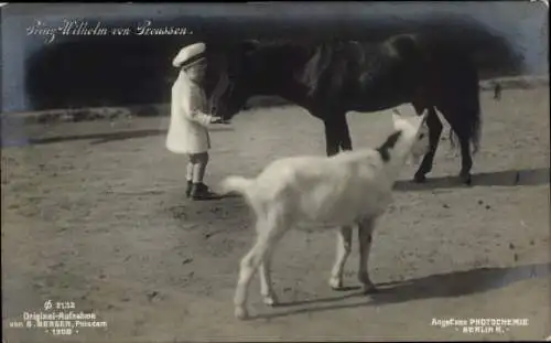 Ak Prinz Wilhelm von Preußen mit Pony und Ziege, PH 2132