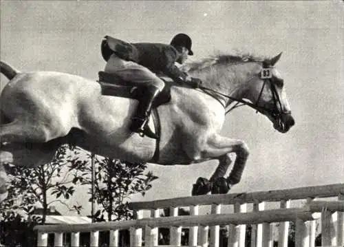 Ak Kamerad unter Hermann Schridde, Hindernissprung, Pferd, Springreiter, Continental Farmer