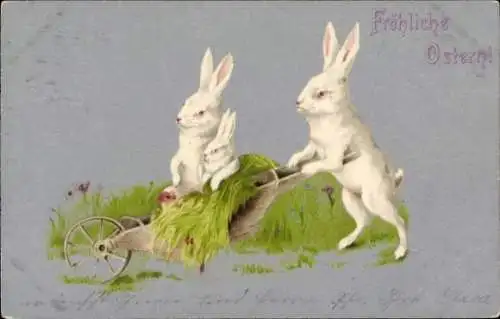 Ak Fröhliche Ostern, drei weiße Osterhasen